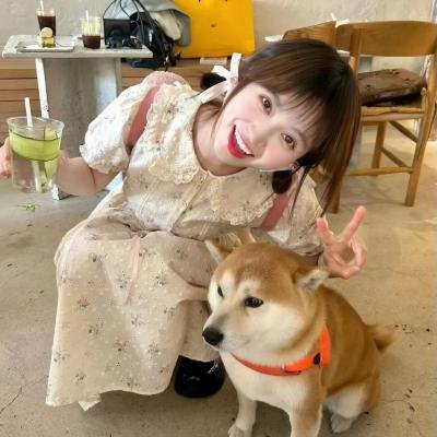 纽约二日情
