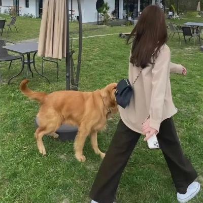 里程碑